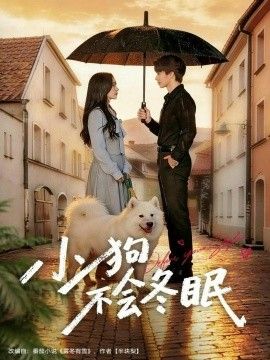 小狗不会冬眠短剧