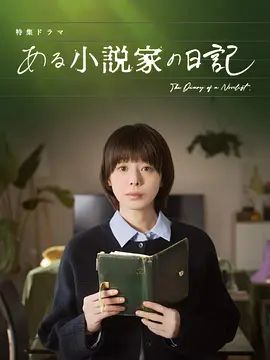 某小说家的日记电视剧